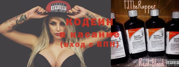 ешки Вяземский