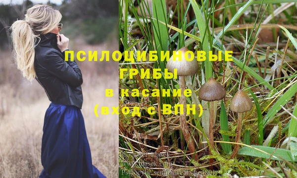 винт Володарск