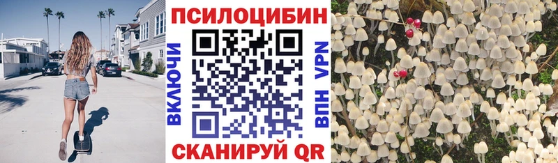купить закладку  Зуевка  Псилоцибиновые грибы GOLDEN TEACHER 