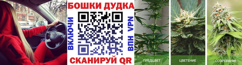 Шишки марихуана гибрид Зуевка